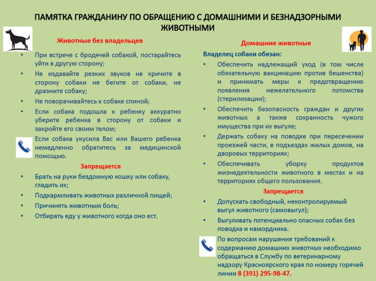 Памятка гражданину по обращению с домашними и безнадзорными животными. Памятка гражданину по обращению с домашними и безнадзорными животными.